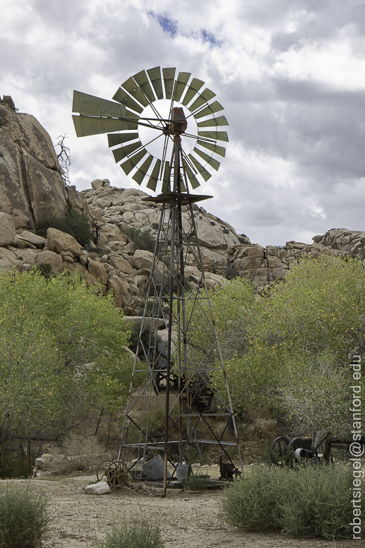 Desert Biogeography of Joshua Tree National Park